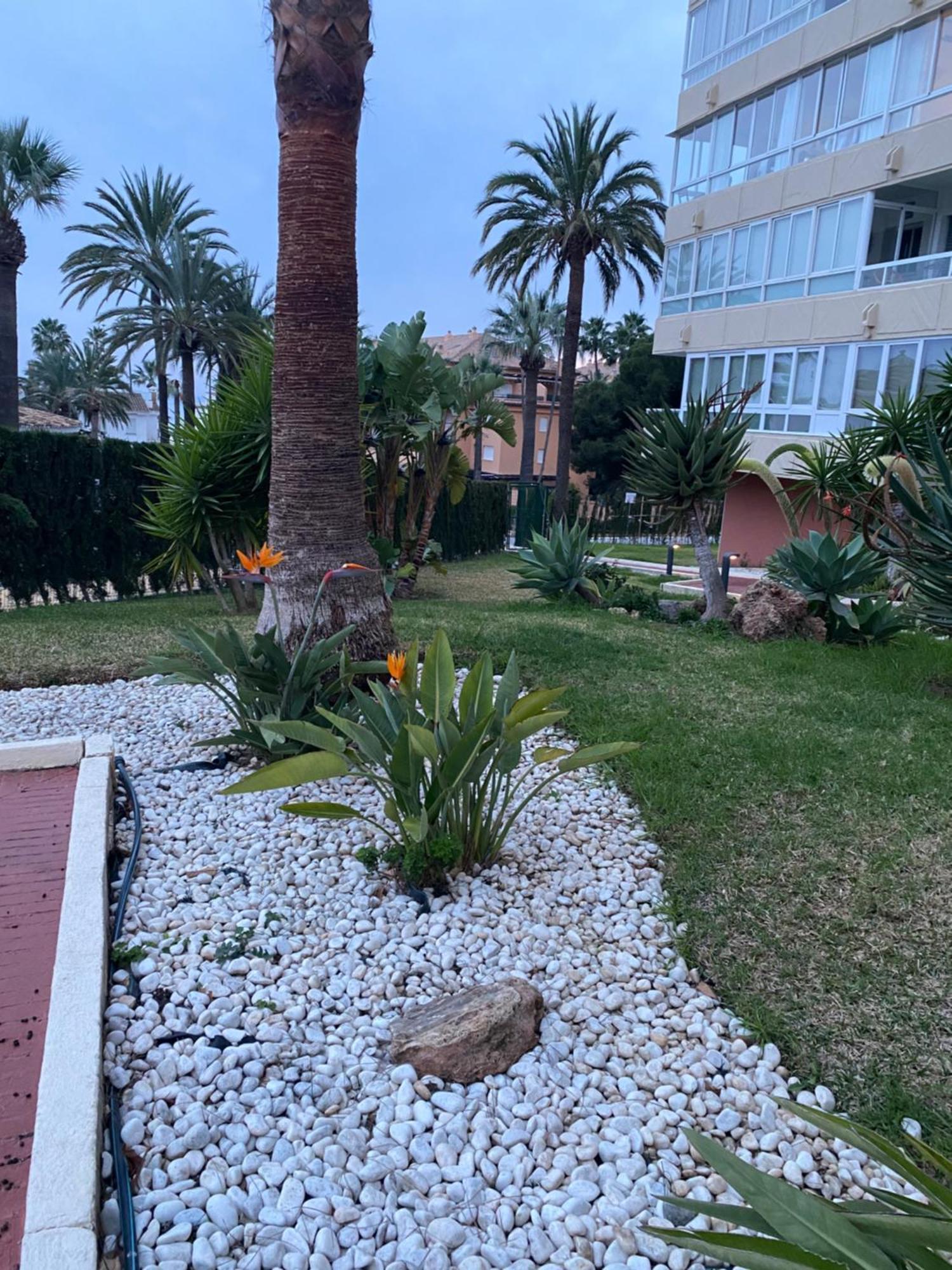 Apartment Buenavista